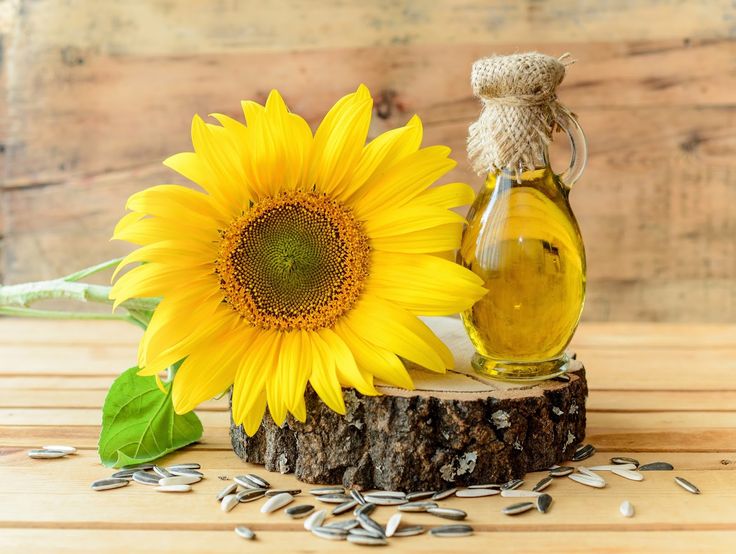 Iranian Sunflower Oil Wholesale Supplier in Turkey (2025 Guide) + Wholesale Price & Customs Tariffs